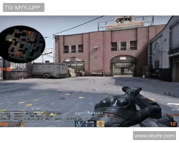 王丽专访：从新手到高手的CSGO成长之路与心路历程分享